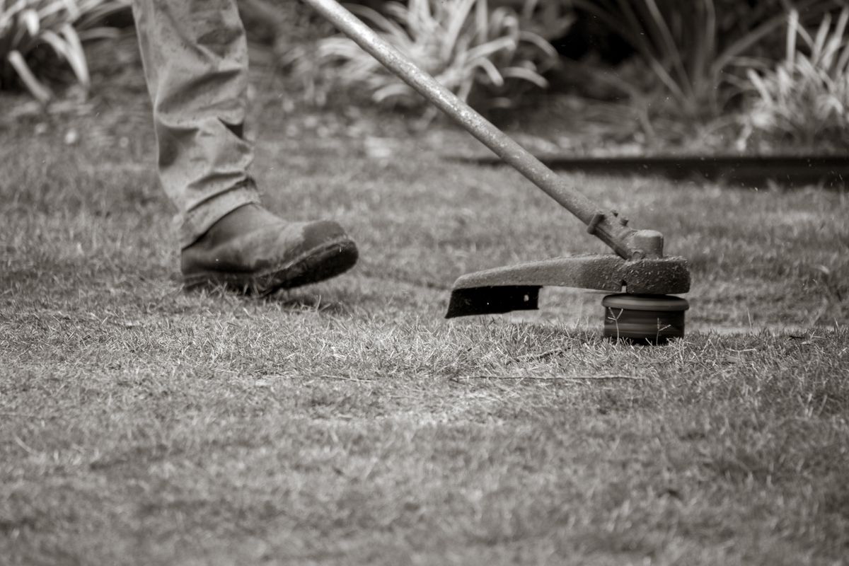 Original OCDIR directory artwork for Aragon Landscaping — not a business photograph