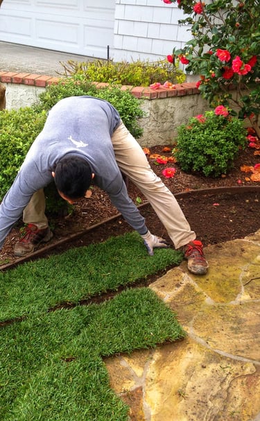Original OCDIR directory artwork for Cal-Scapes Lawn Care and Landscape Maintenance — not a business photograph