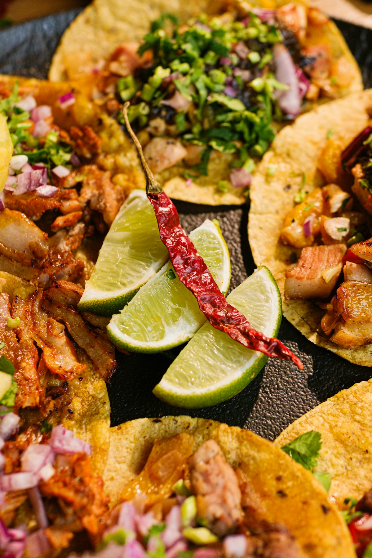 Original OCDIR directory artwork for Tacos El Gringo — not a business photograph