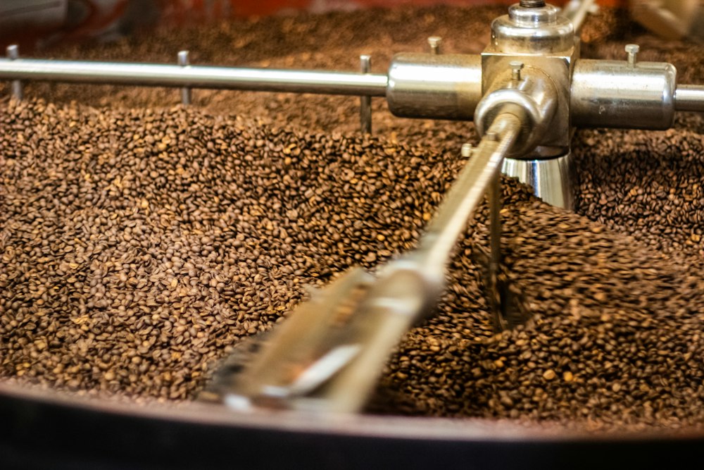 Original OCDIR directory artwork for Sandgate Coffee Roasters — not a business photograph