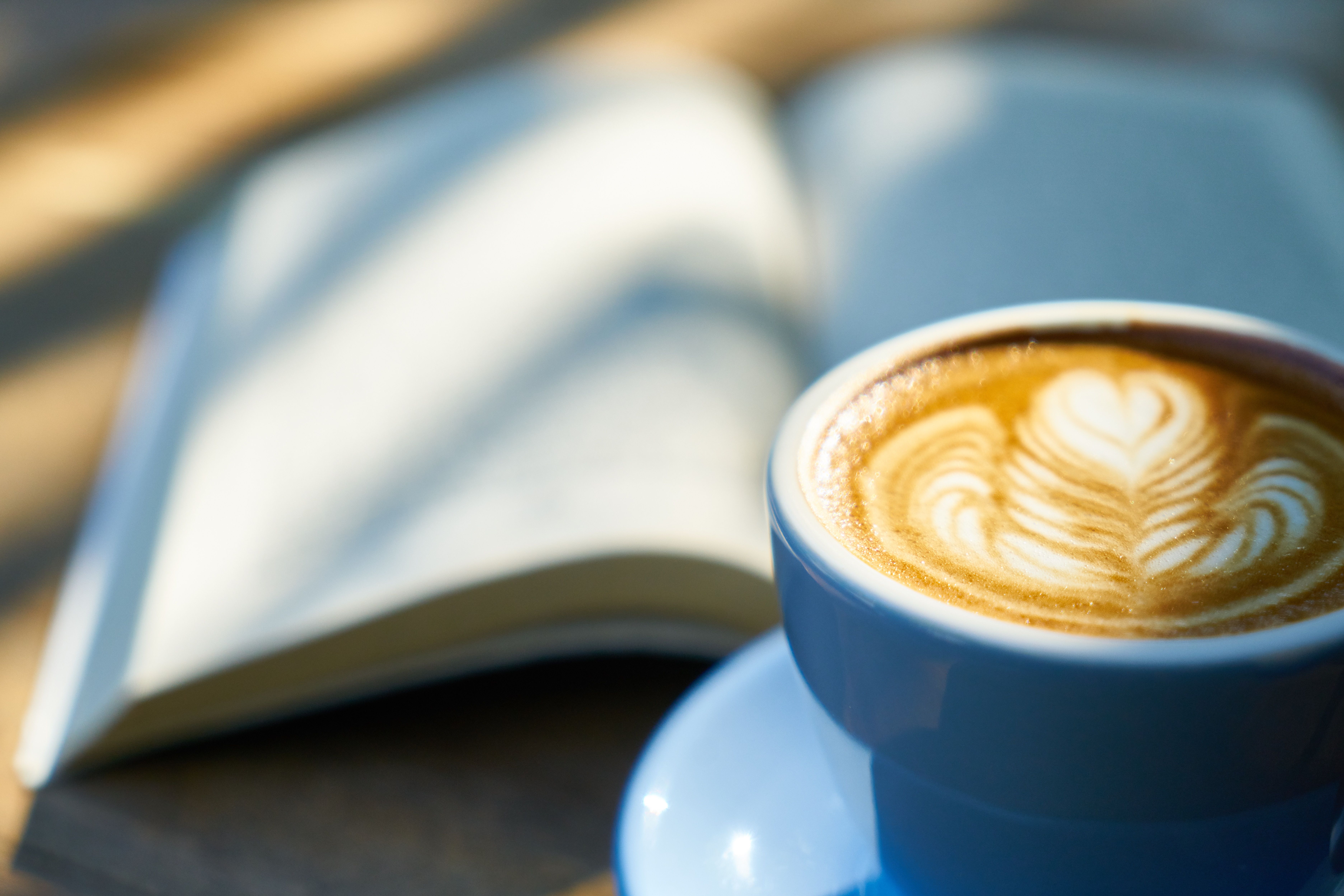 Original OCDIR directory artwork for Blackbird Books & Coffee — not a business photograph