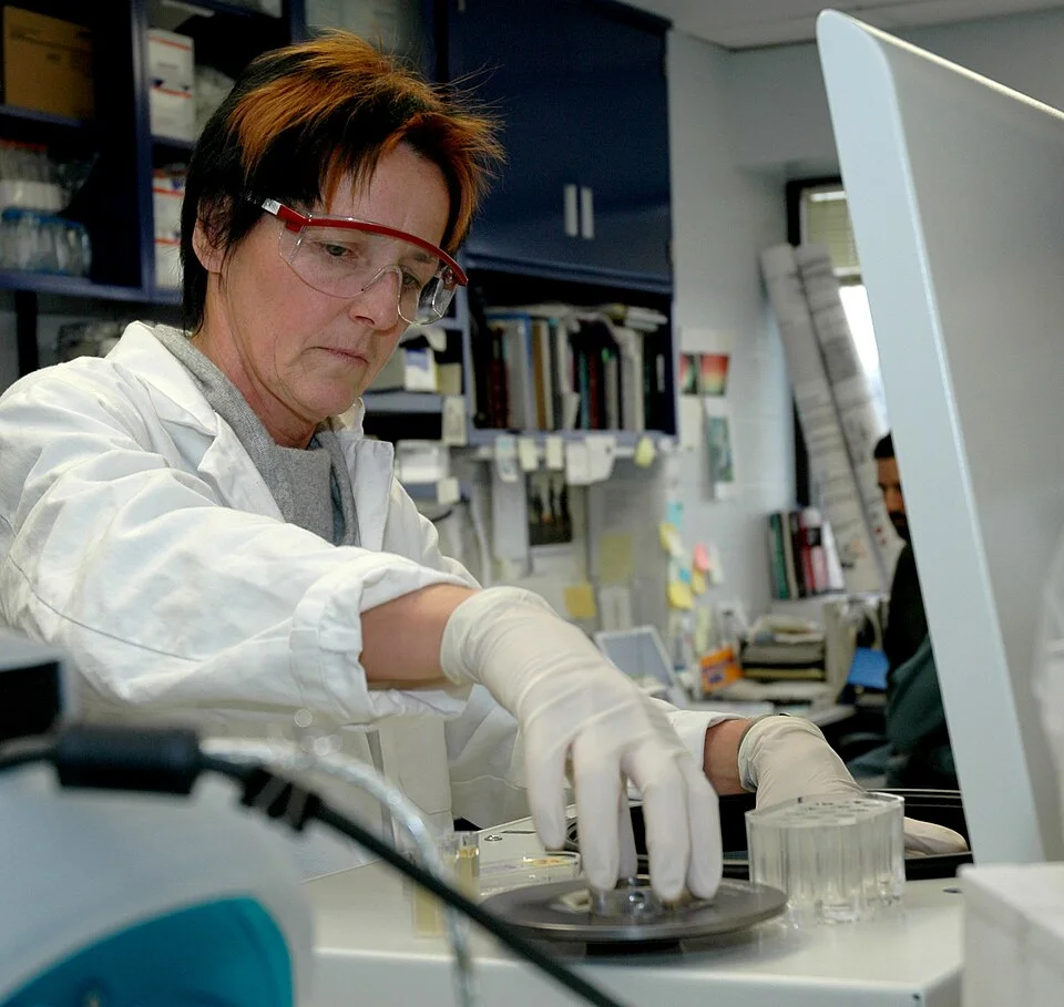 Scientist working in a biomedical laboratory — real photograph