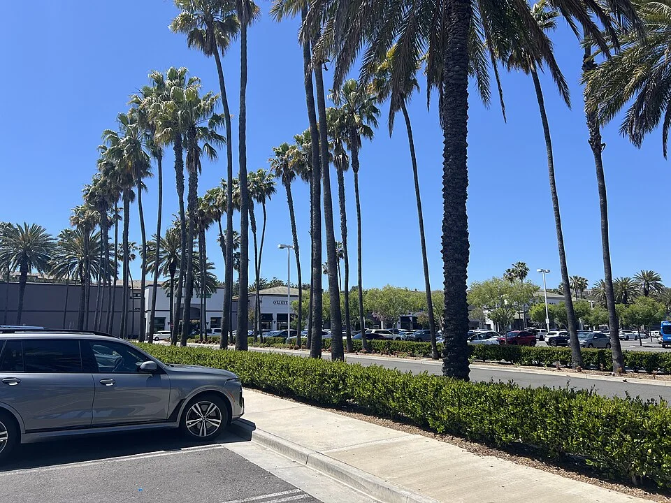 Aliso Viejo Town Center — real photograph